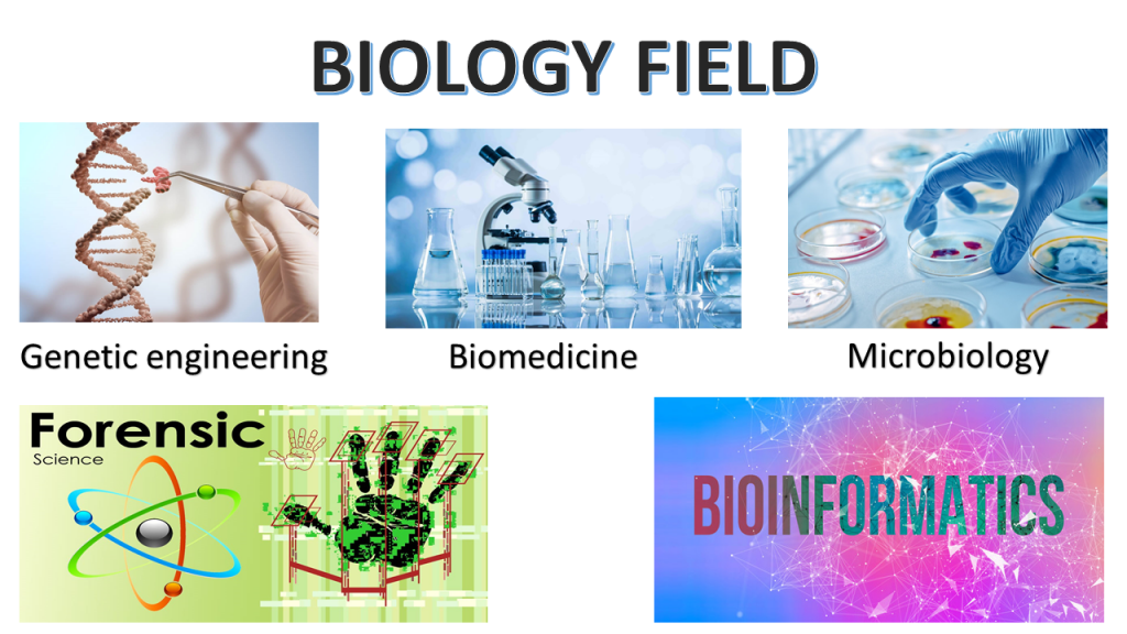 bio field.png