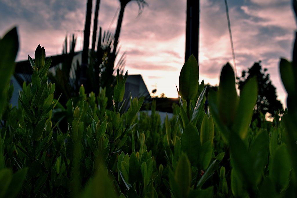 20170628_203247.jpg