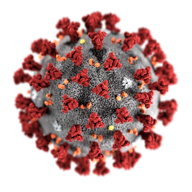 Coronavirus-CDC-645x645-statnews.jpg
