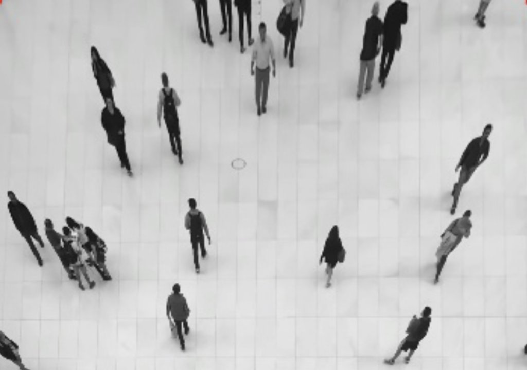 Image in bird's view