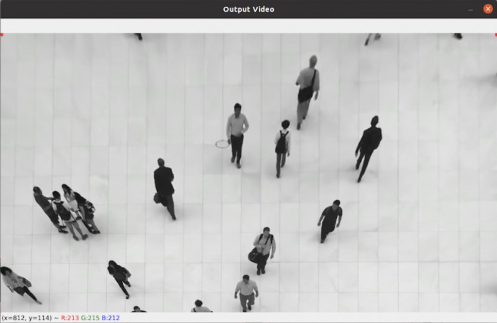 Sample frame of input video that has transformed into bird's view