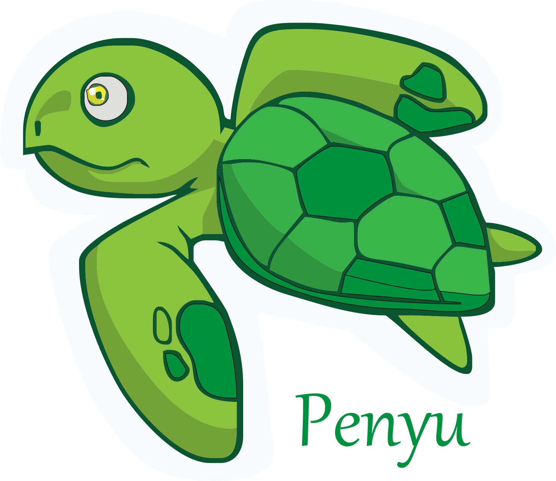 penyu.1.jpg