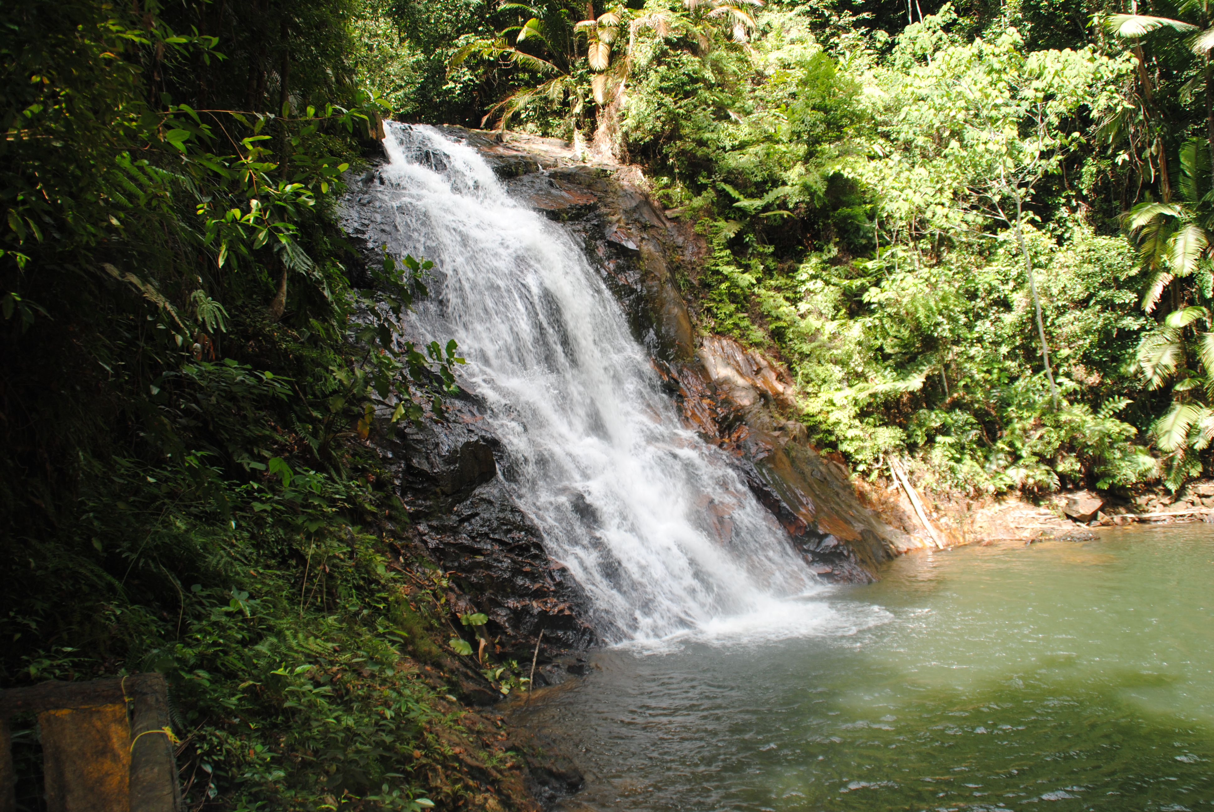 DSC_0369.JPG
