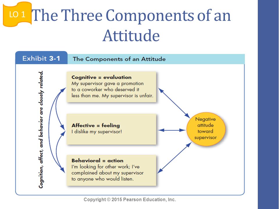 Components of an Attitude.jpg