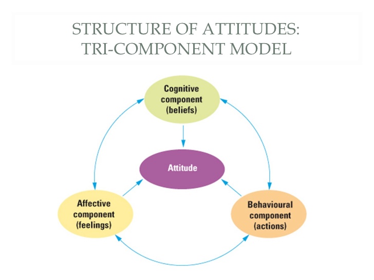 attitudes-lesson-1-7-728.jpg