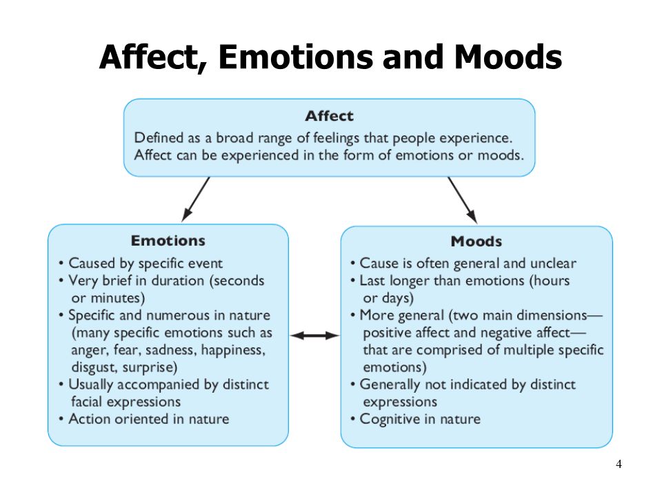 slide_4.jpg