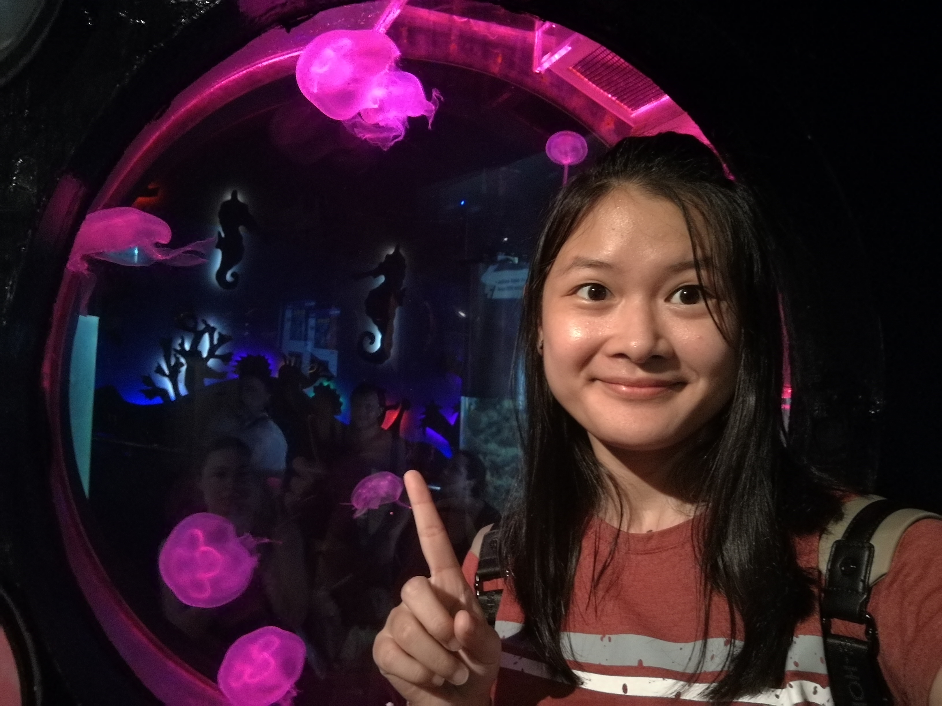 IMG_20180404_151935.jpg