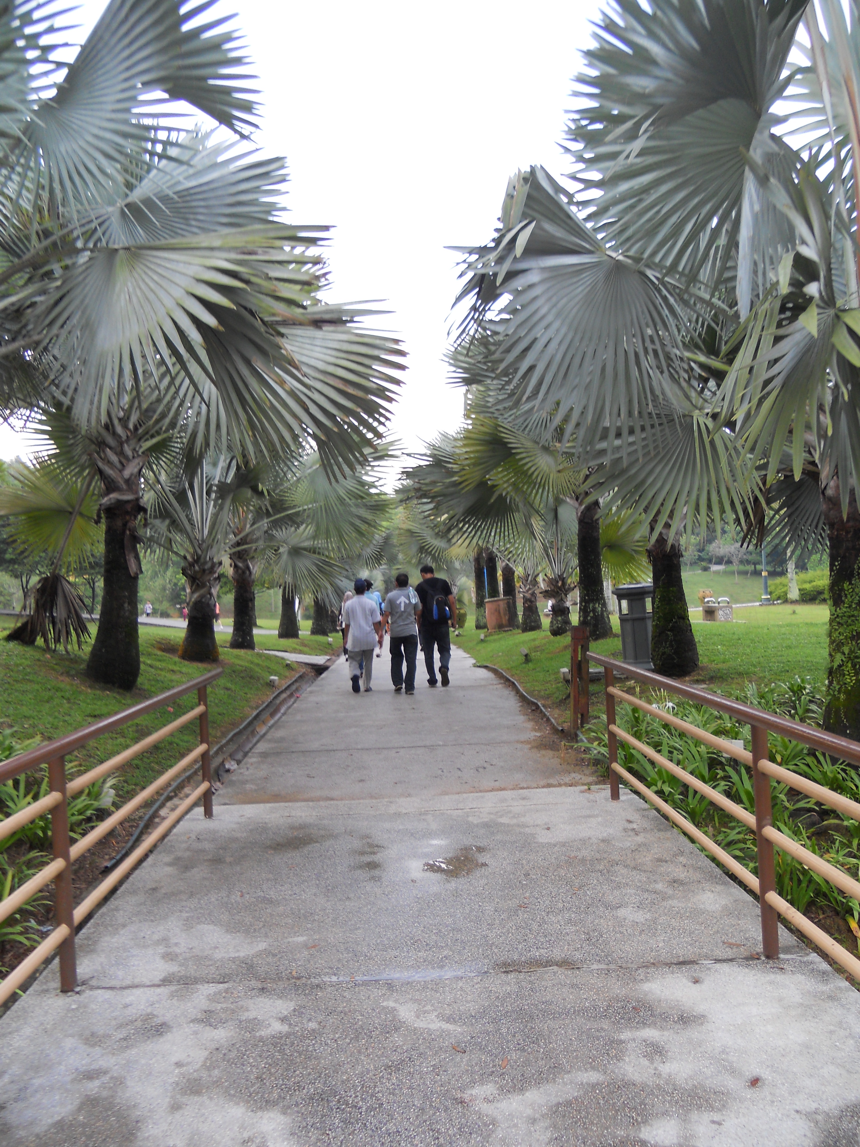 DSCN1468.JPG