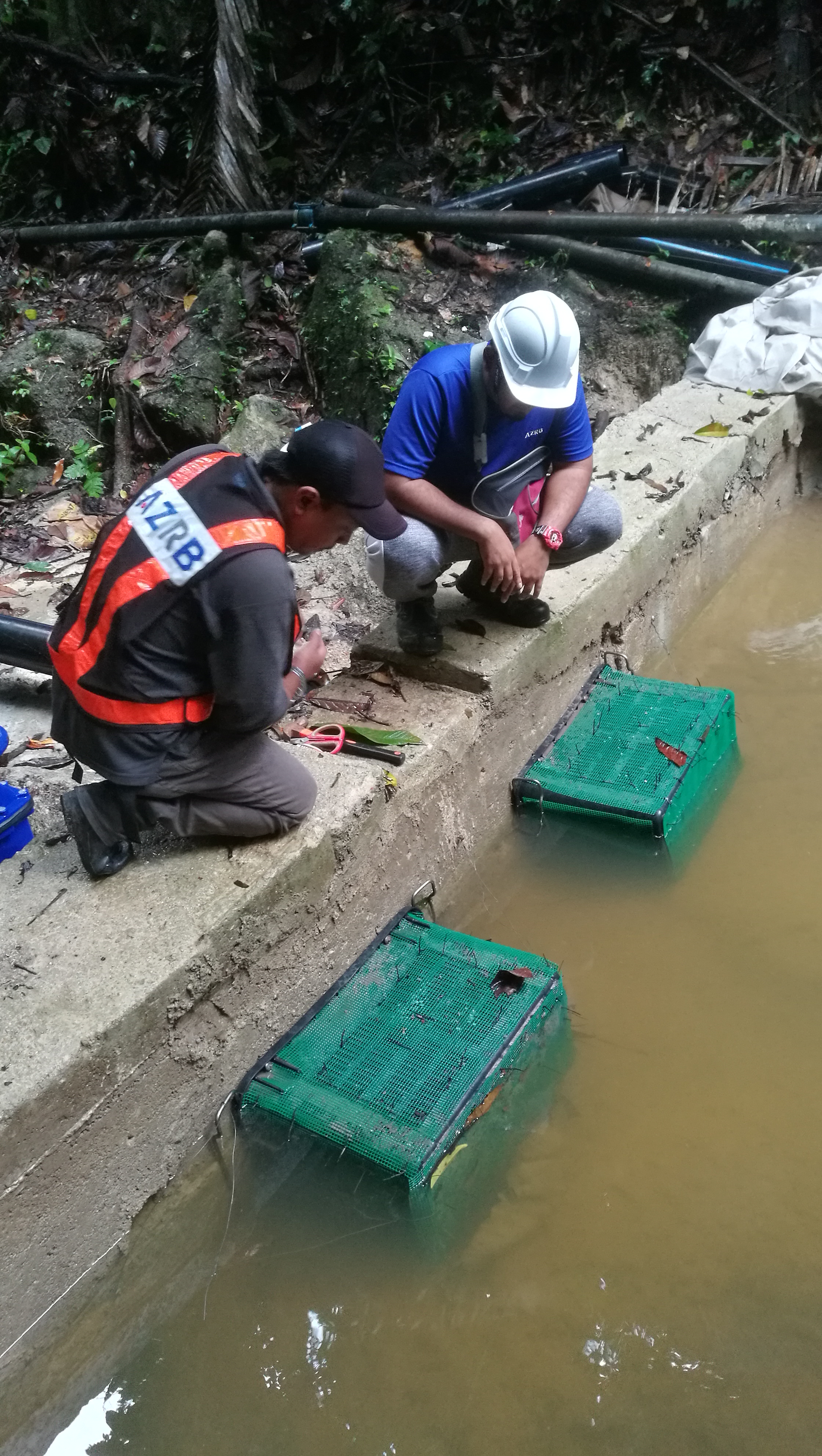 IMG_20180623_105054.jpg.1