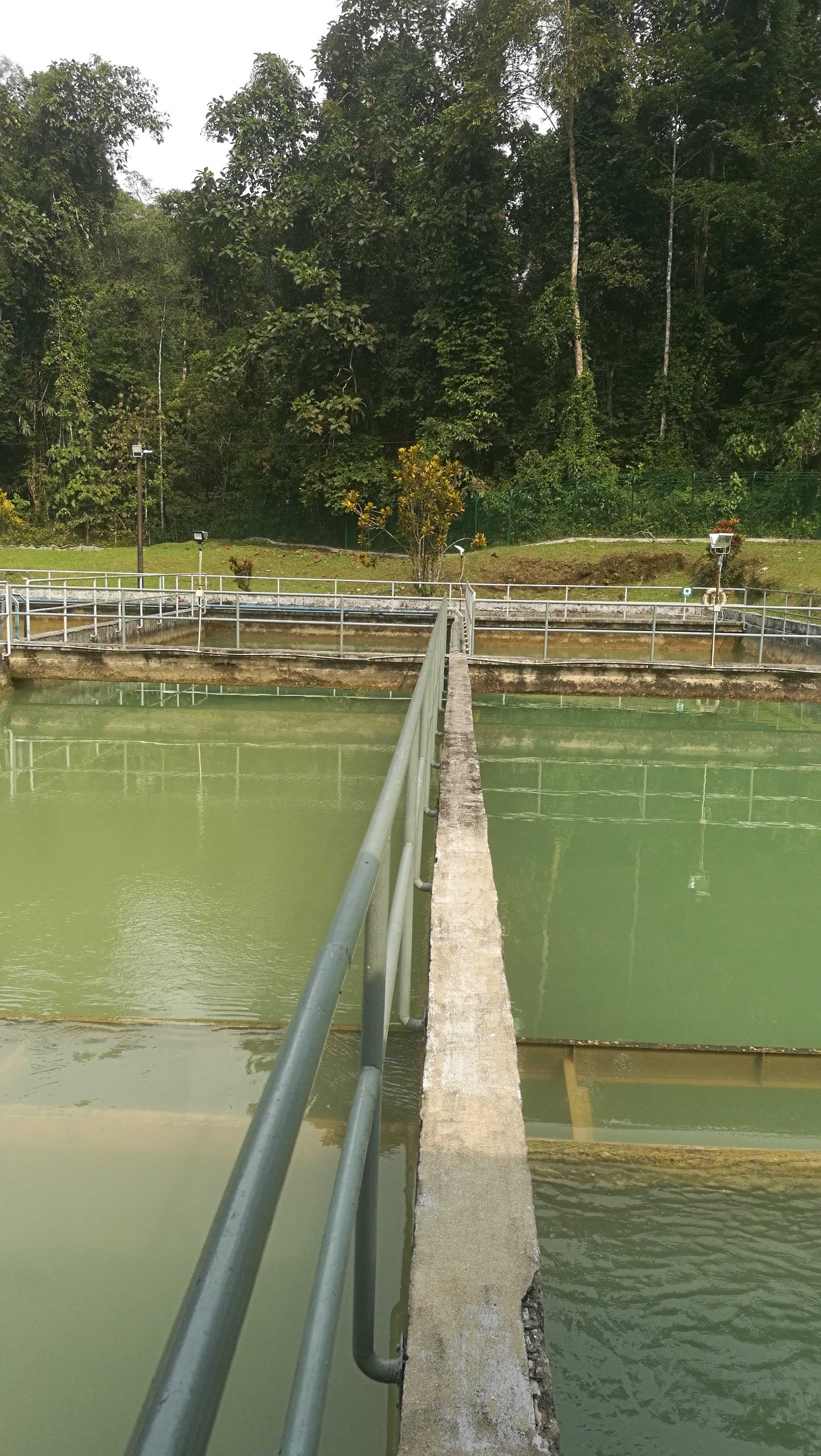 IMG_20180712_160627.jpg.1