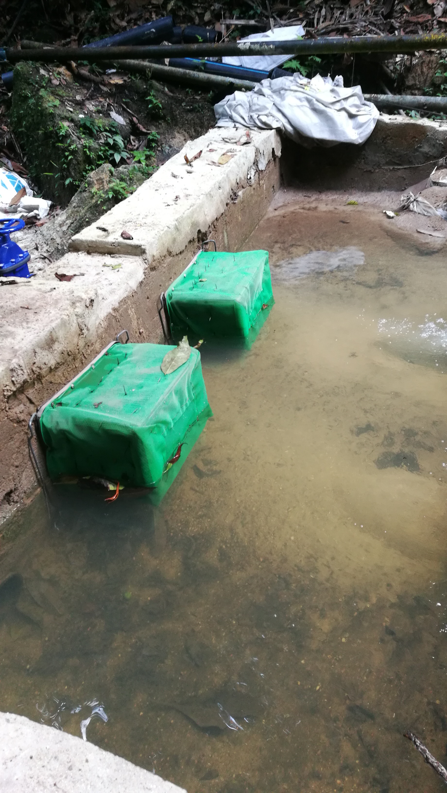 IMG_20180716_142937.jpg.1