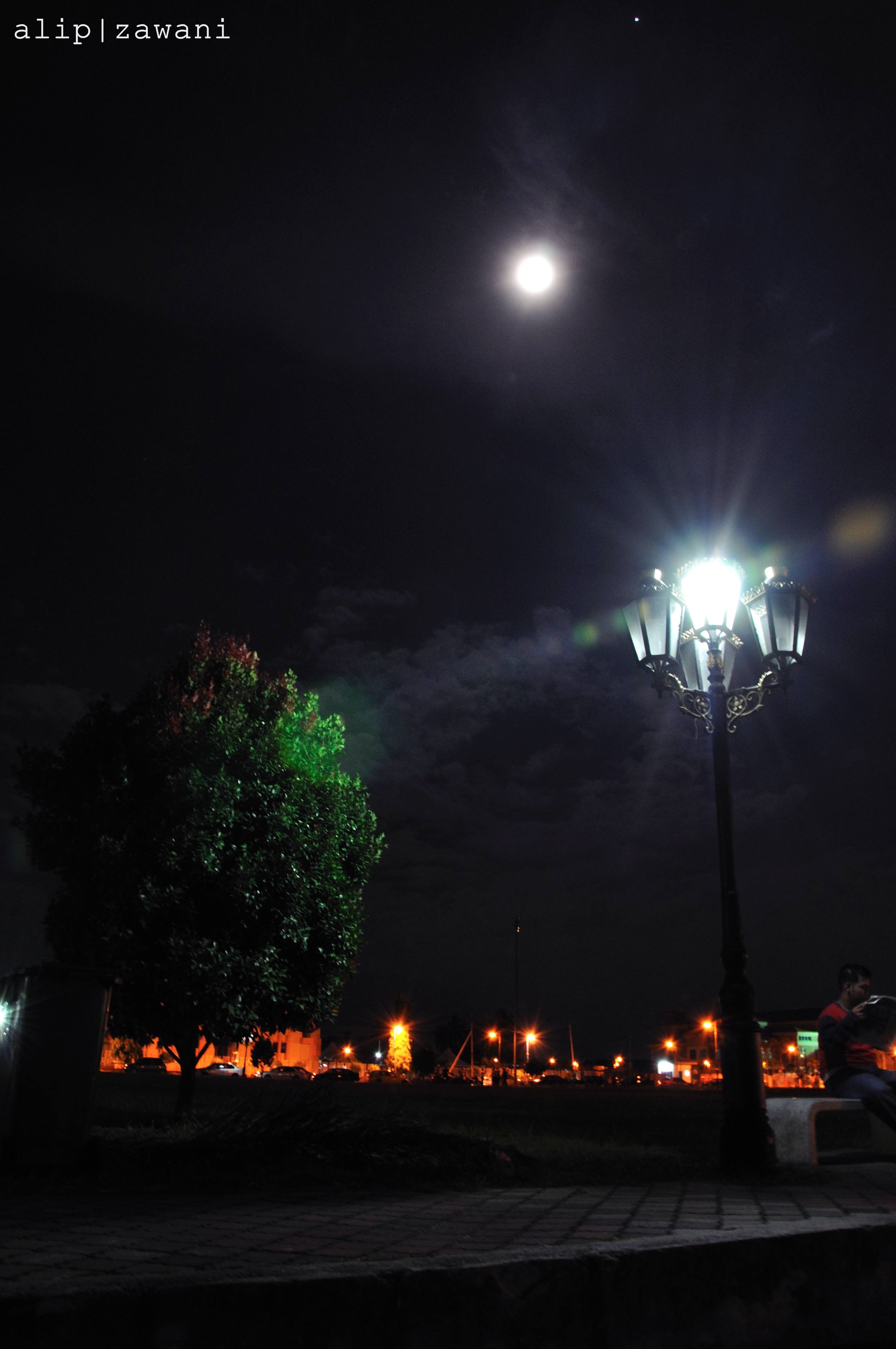 DSC_0266.JPG