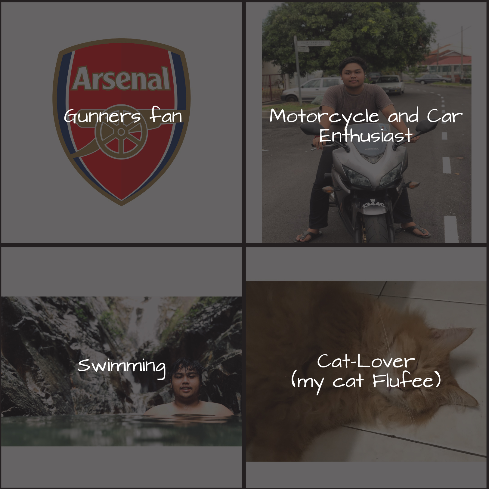 Interests.jpg