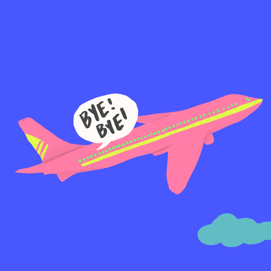 giphy (1).gif