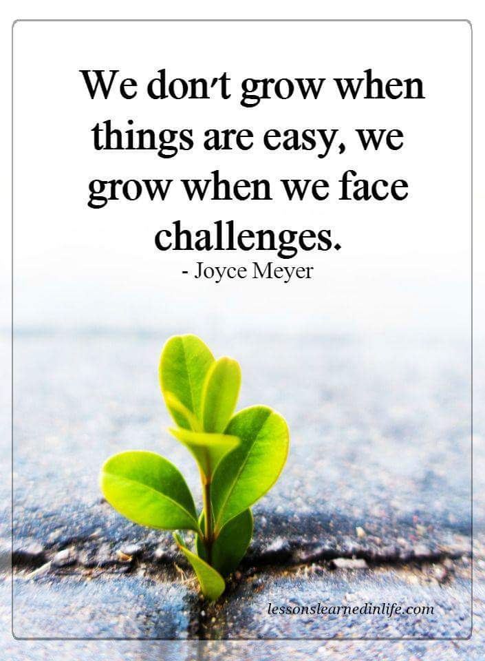 WhatsApp Image 2018-12-17 at 2.30.24 PM.jpeg