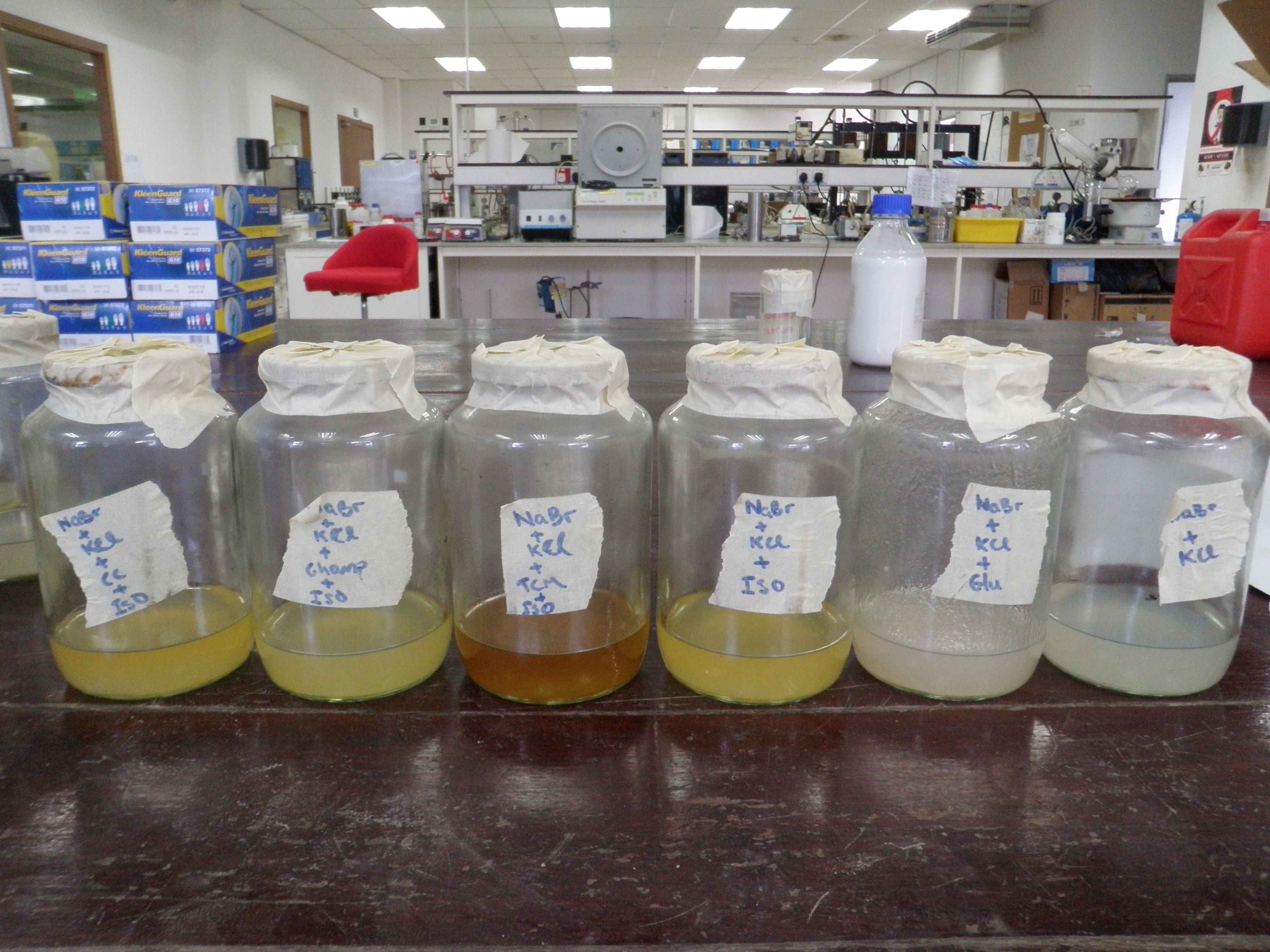 Picture of Shale Inhibitor Project