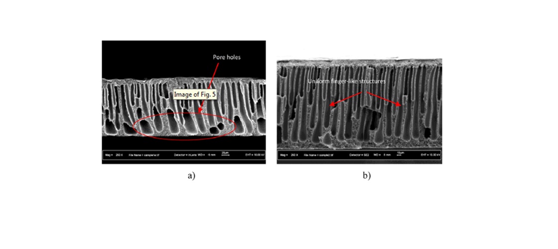 Cross section morphologies of (a) unfunctionalized CNT-MMM, (b) functionalized CNT-MMM with β-CD 