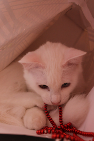 2012-09-20_182128.png