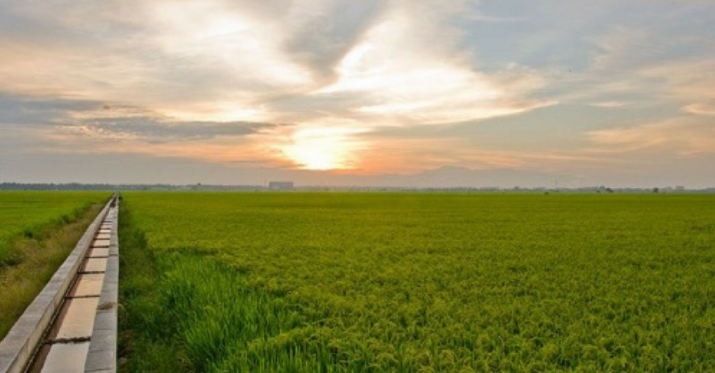 wei hong sekinchan 1.jpg