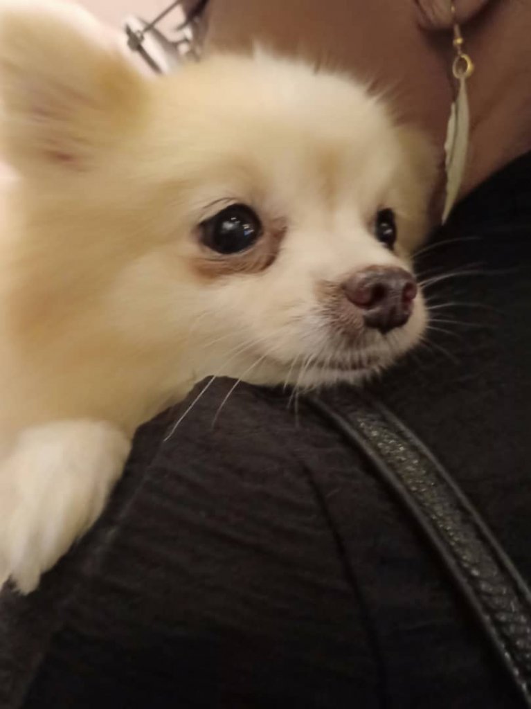 WhatsApp Image 2019-12-15 at 6.59.36 PM.jpeg