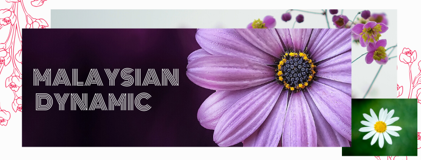 MALAYSIAN DYNAMIC.png.1