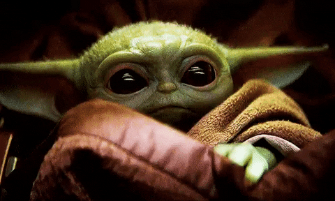 giphy (1).gif.1