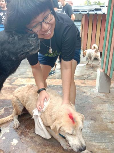 Dog Bathing Day at HOPE