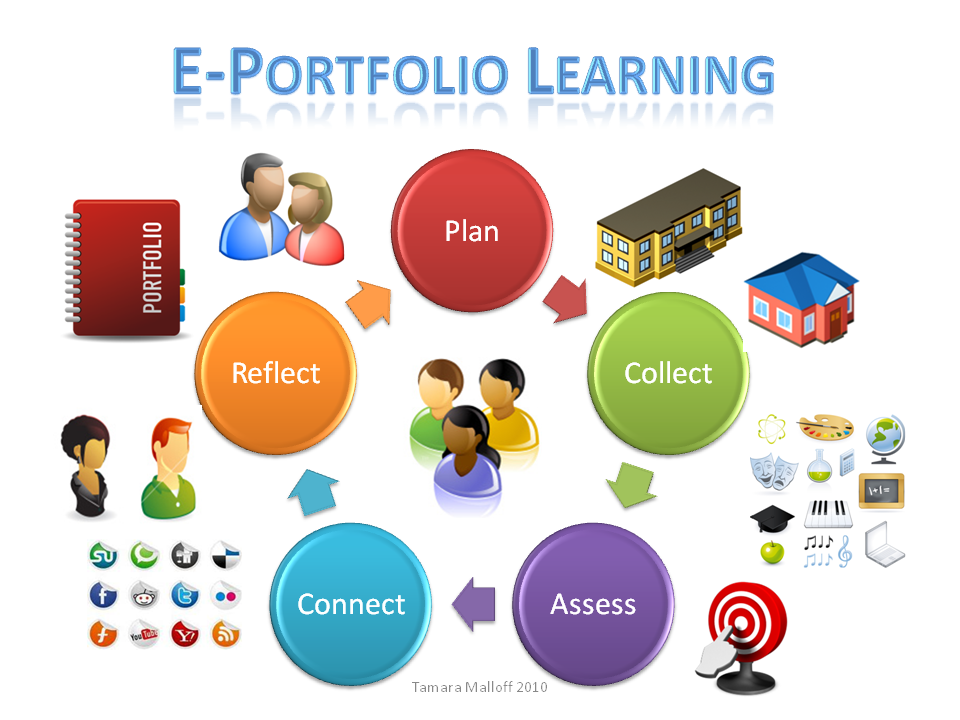 portfolio.png