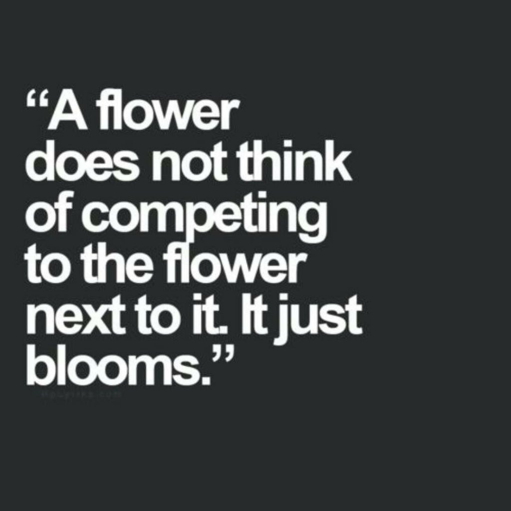 flower.jpeg