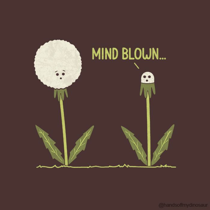 mind_blown.jpeg