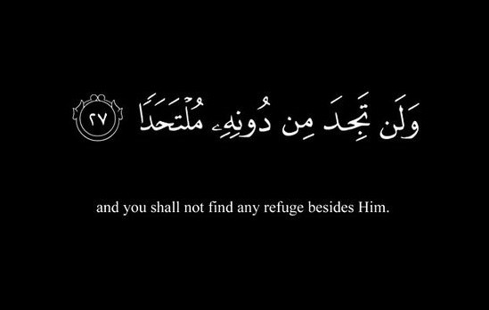 7a67f782dc88b71a4278b597161080db.jpg.1