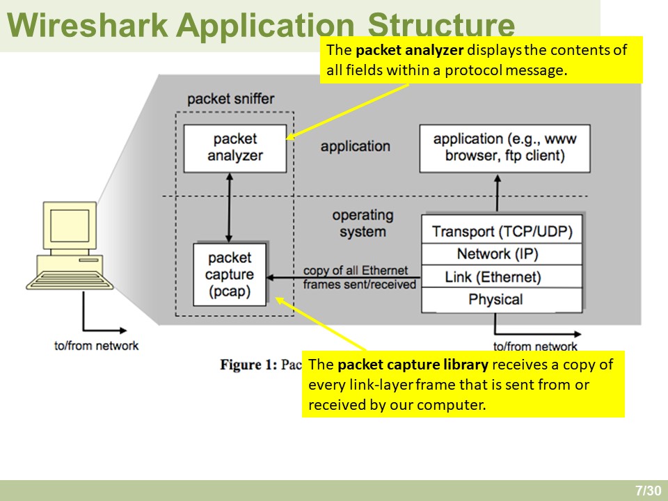 Slide7.JPG